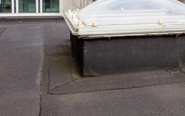 disadvantages of Hankelow flat roofs