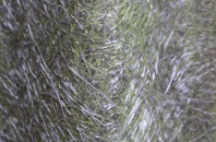 Hankelow fibreglass roof work